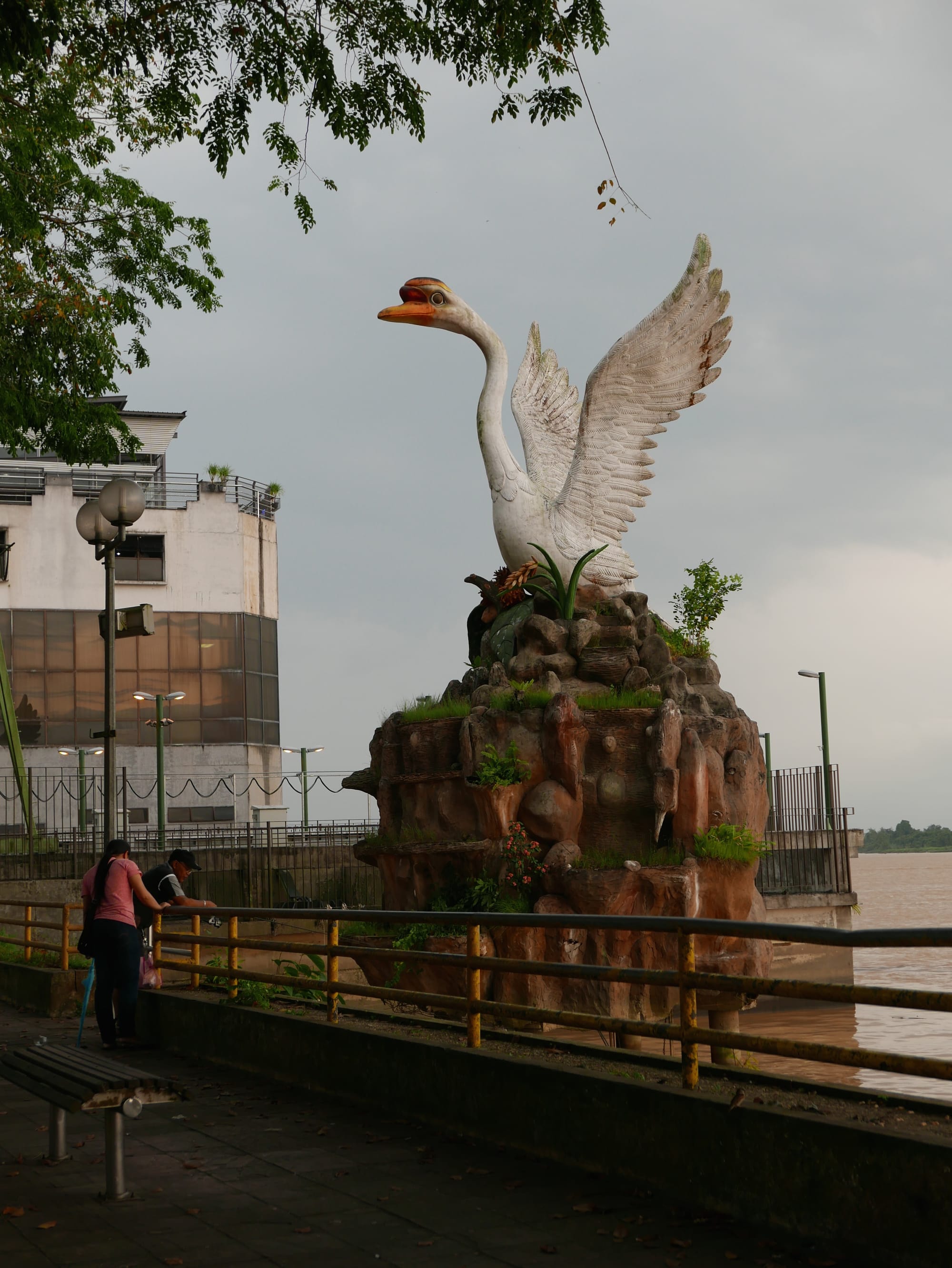 Photo by Author — the swan