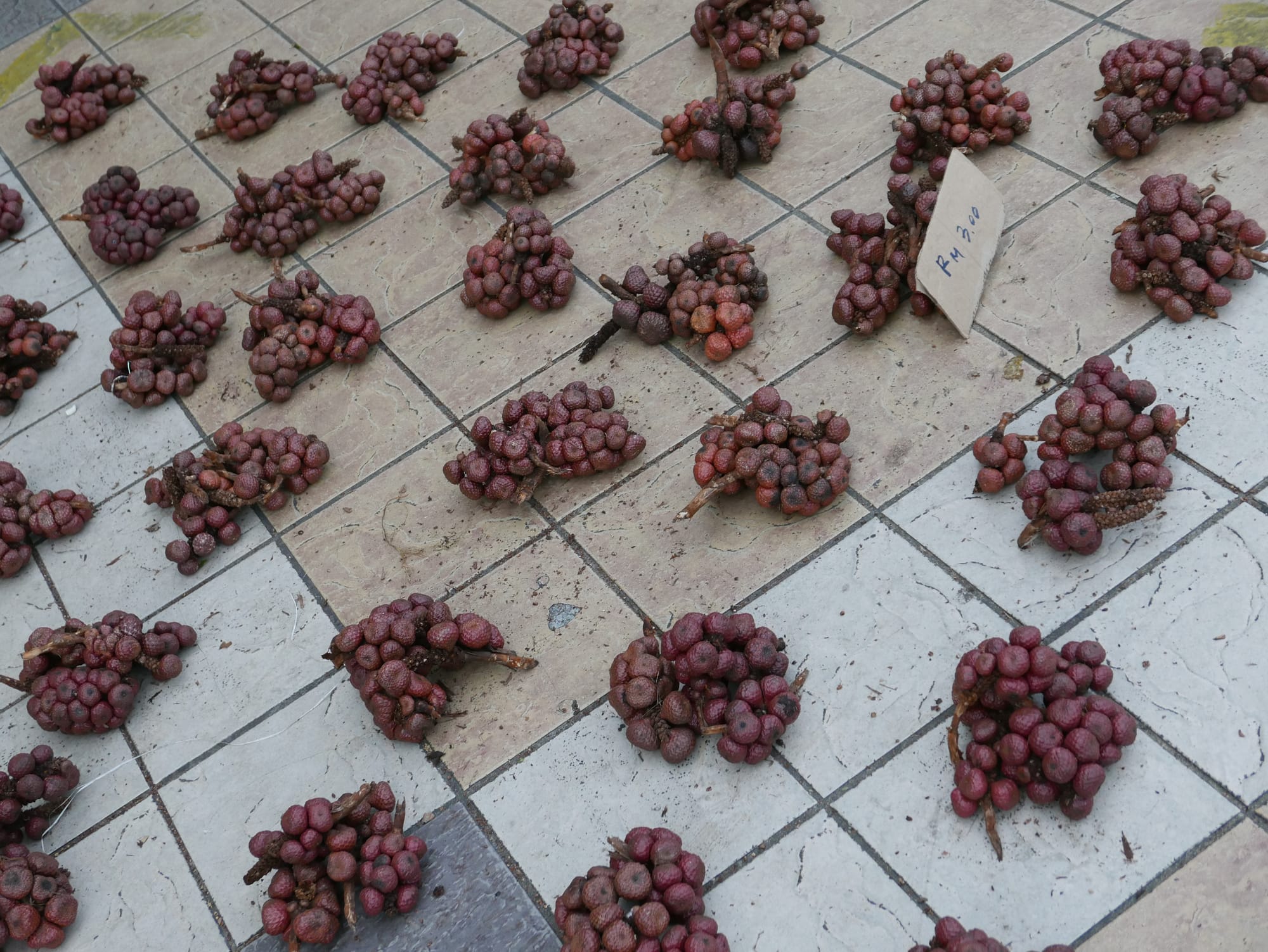 Photo by Author — any idea what these are?