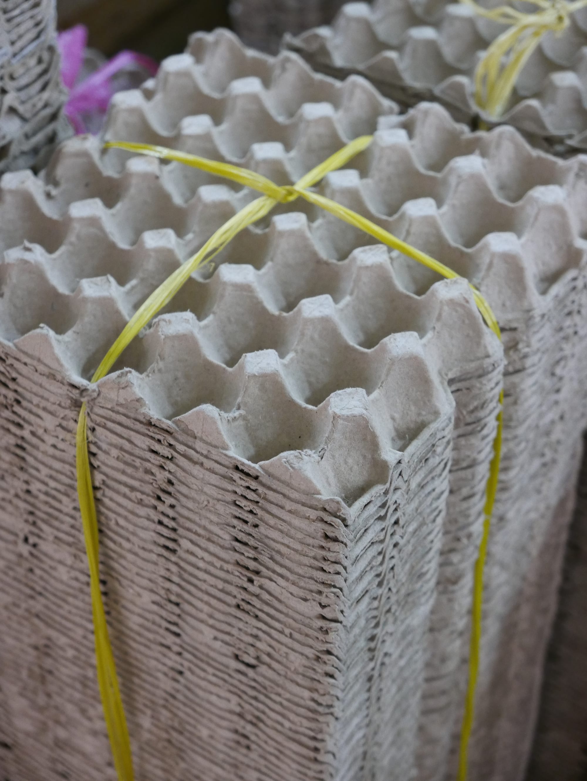 Photo by Author — stacked egg trays