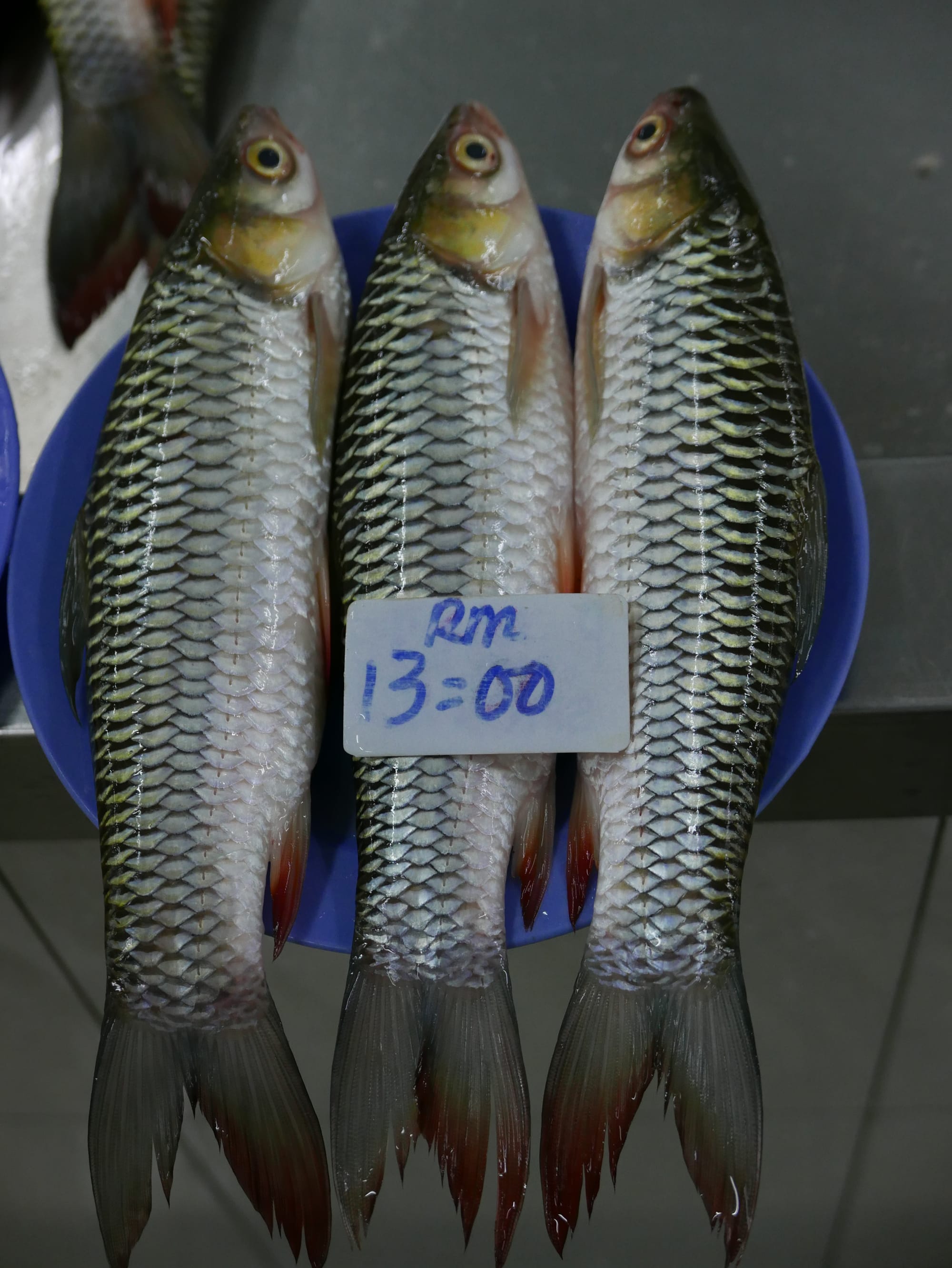 Photo by Author — local fish