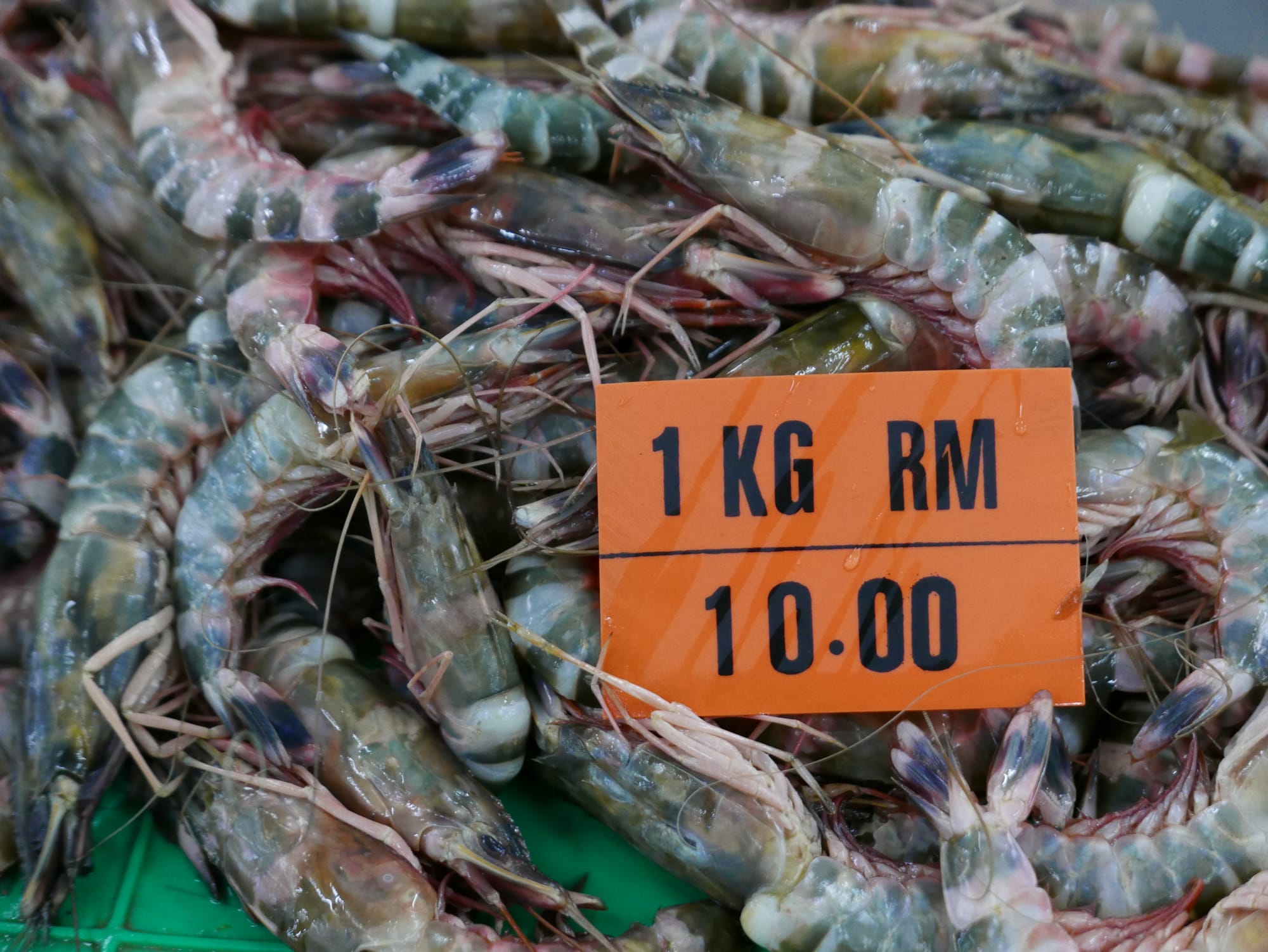 Photo by Author — local shrimp