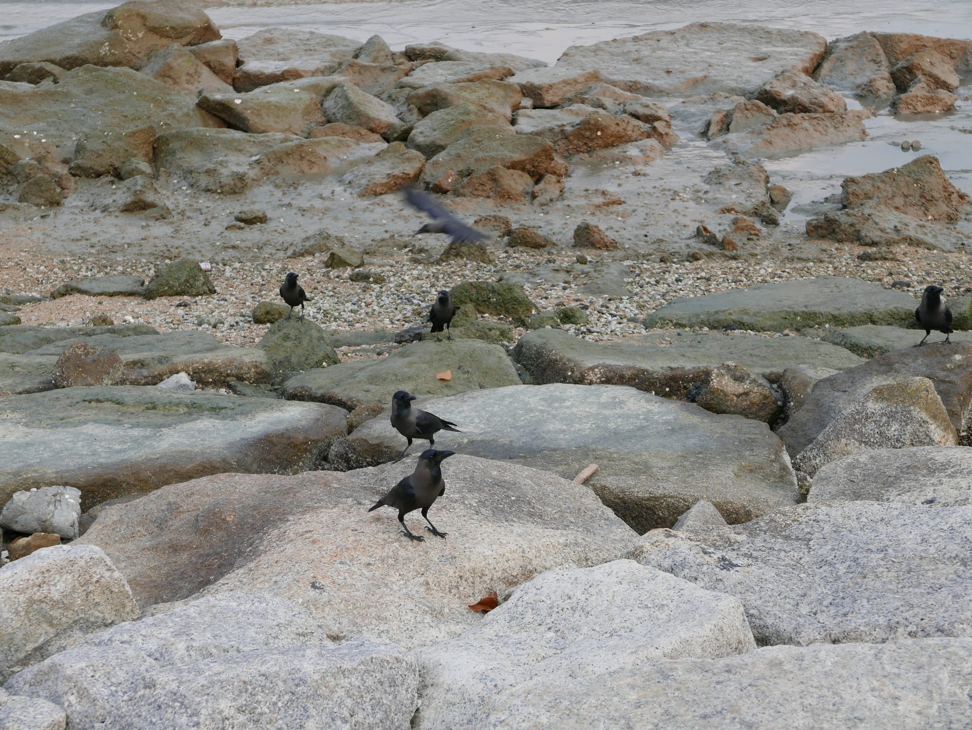 Photo by Author — Queensbay Seaside, Bayan Lepas, Penang, Malaysia