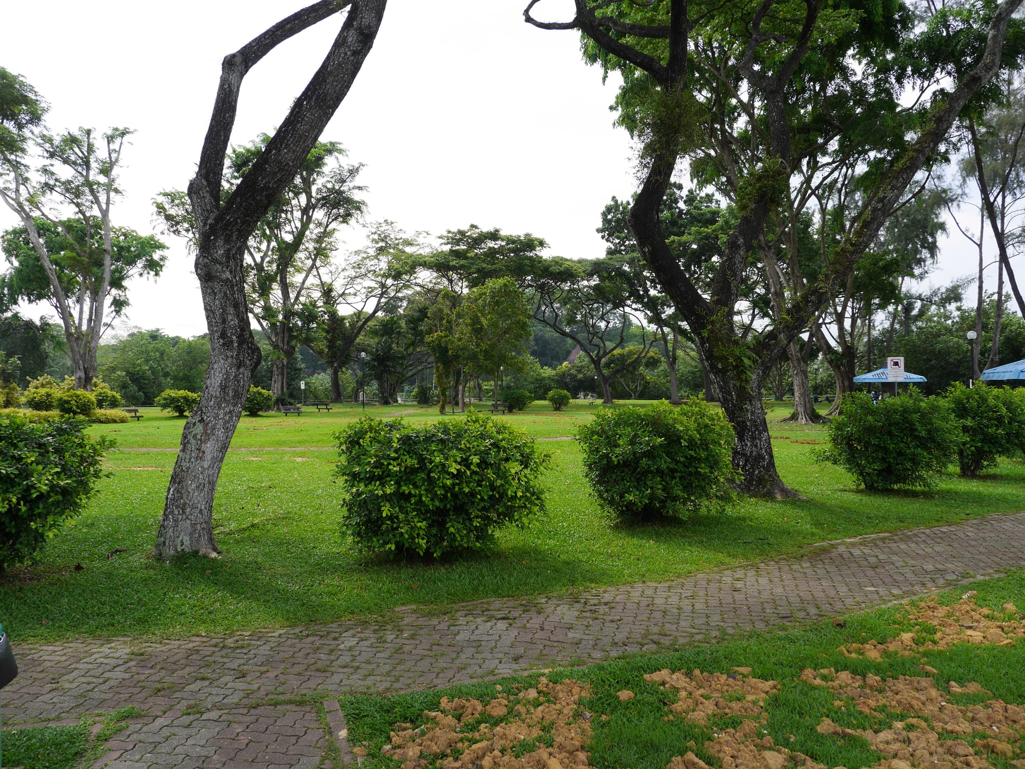 Photo by Author — Kranji Beach Battle Site