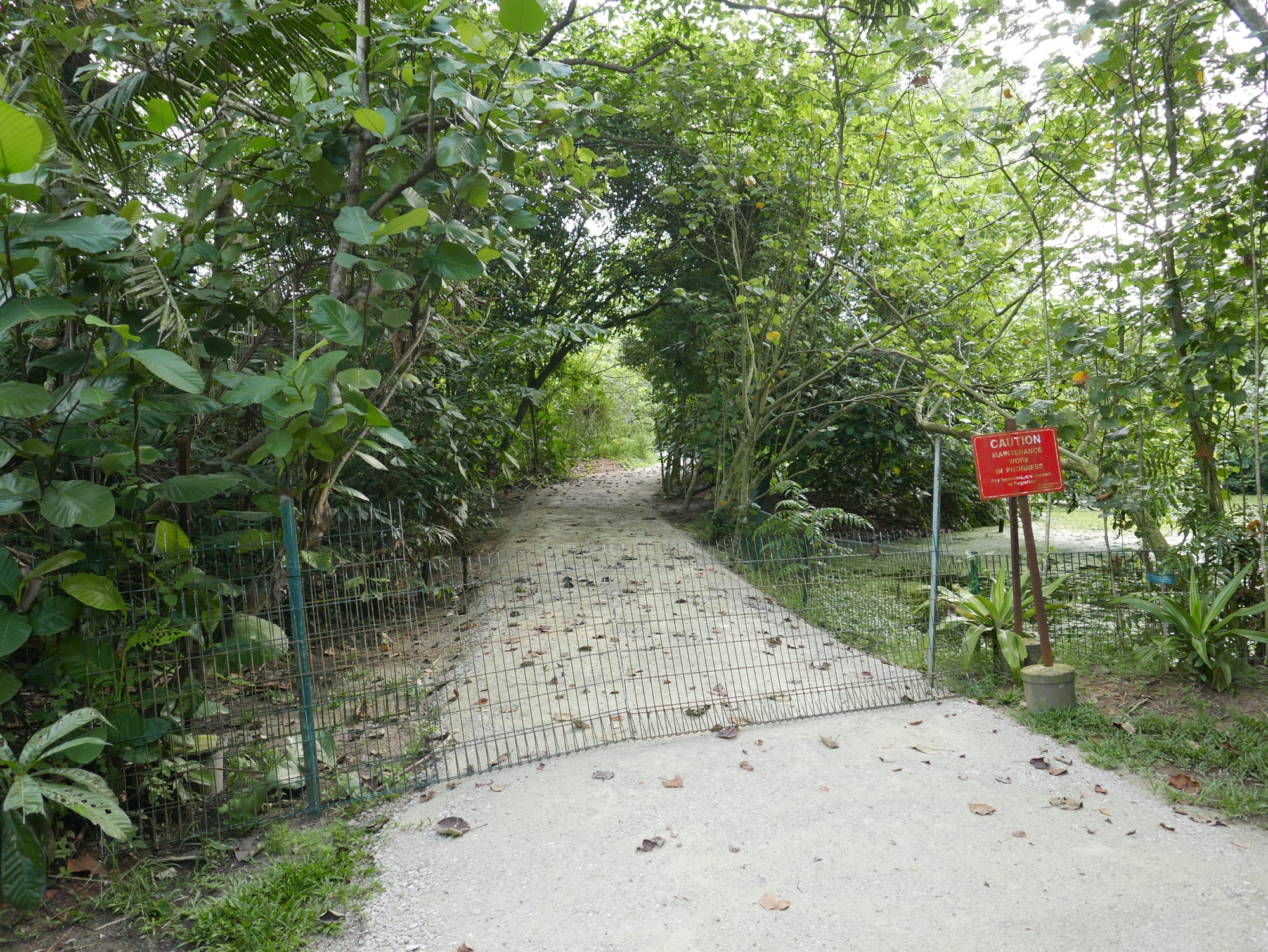Photo by Author — closed area — Sungei Buloh Wetland Reserve, Singapore