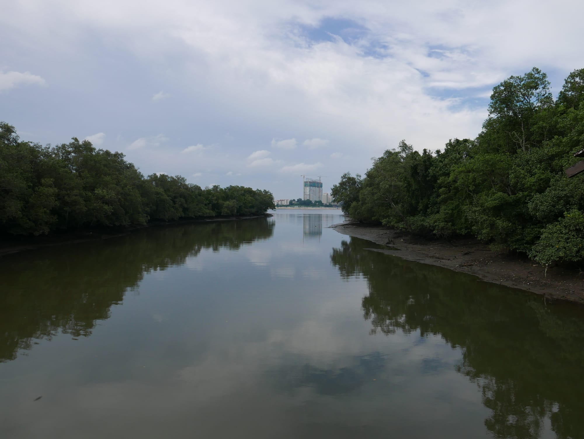 Photo by Author — Johor Bahru, Malaysia from Sungei Buloh Wetland Reserve, Singapore