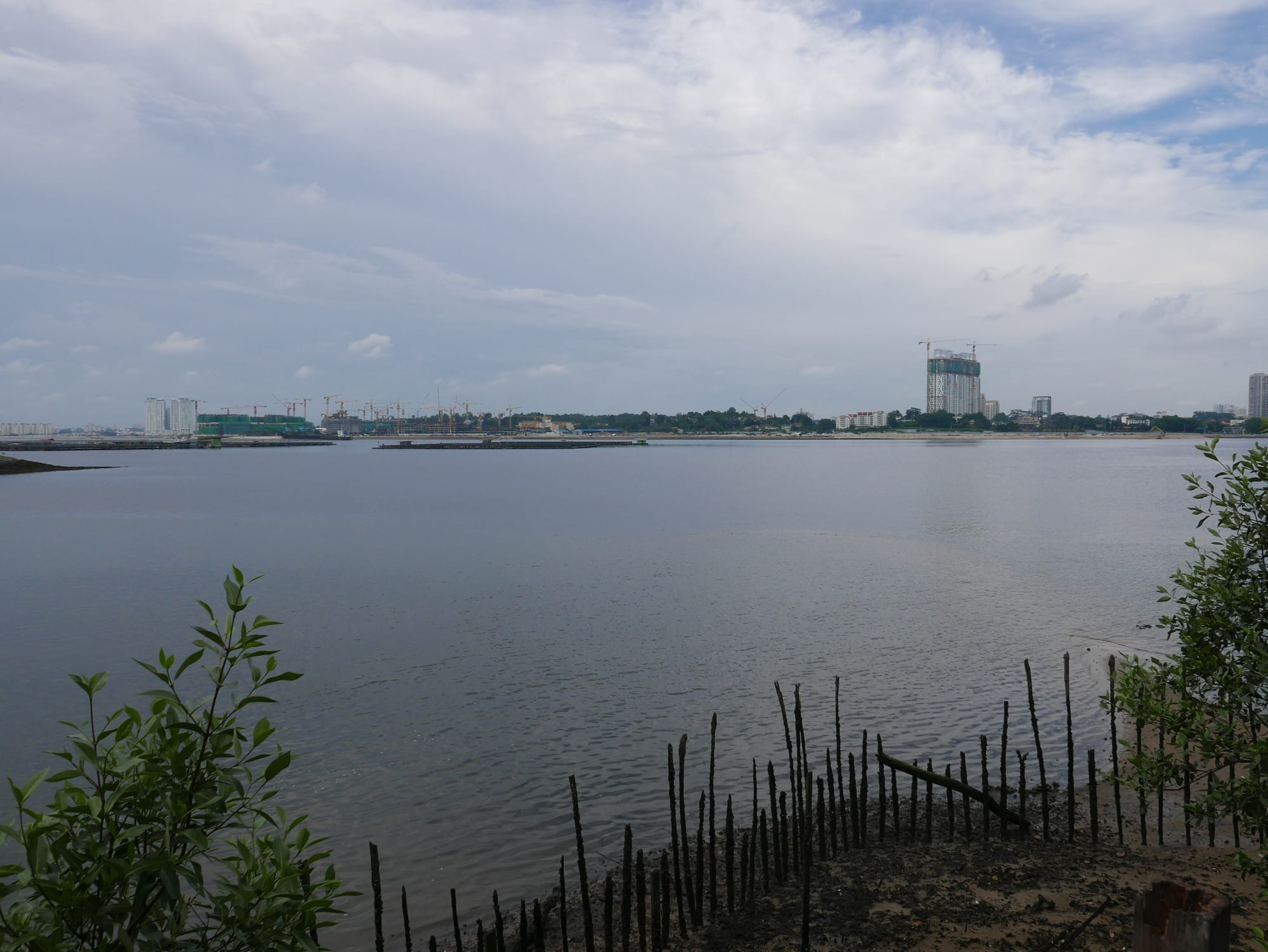 Photo by Author — Johor Bahru, Malaysia from Sungei Buloh Wetland Reserve, Singapore