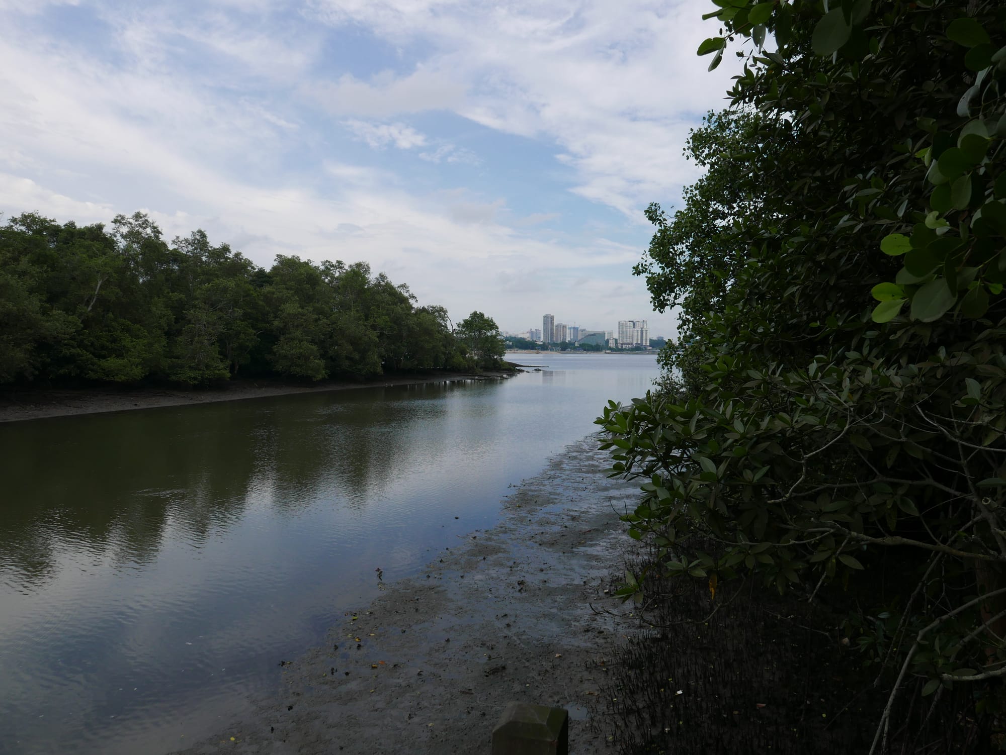 Photo by Author — Johor Bahru, Malaysia from Sungei Buloh Wetland Reserve, Singapore