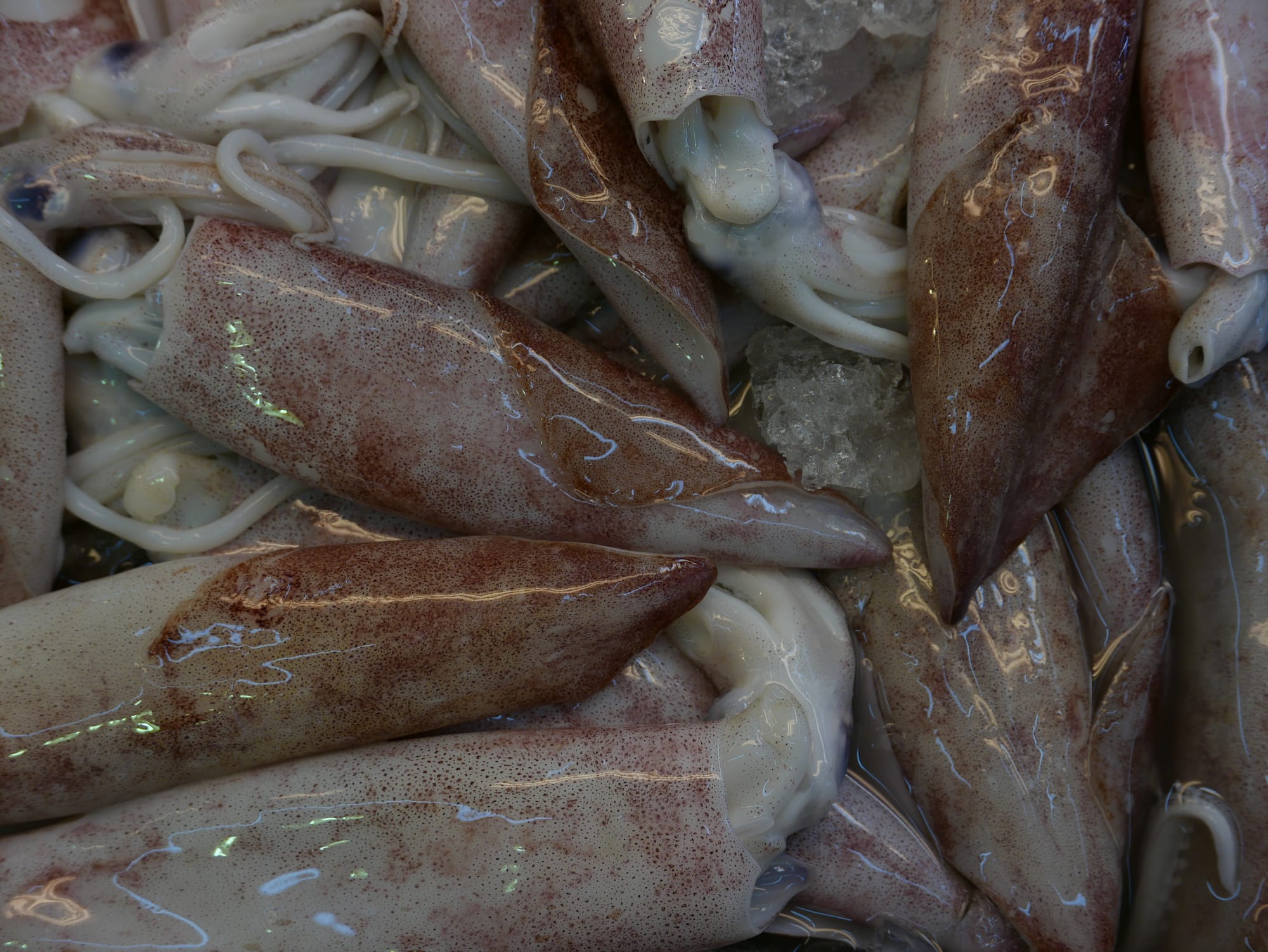 Photo by Author — fish stall — Bestmart, Johor Bahru
